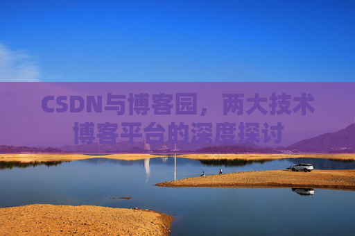 CSDN与博客园，两大技术博客平台的深度探讨